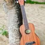 Beginner II - ‘Ukulele Class (From 8/19 to 10/21)